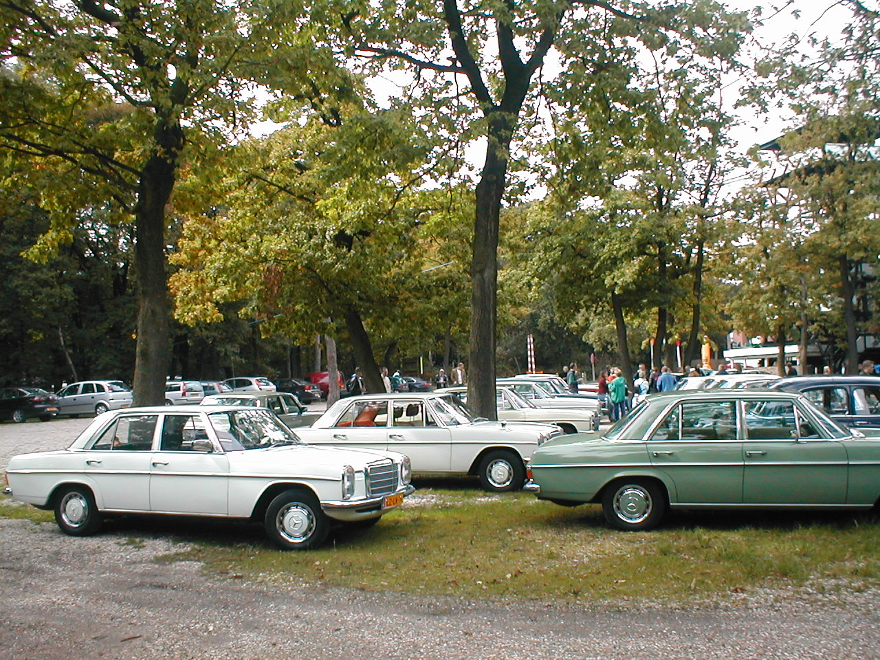 Image 2 of 58  -  466 kB