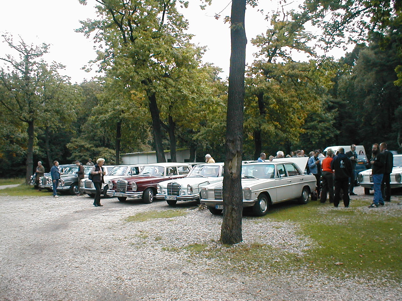 Image 3 of 58  -  457 kB