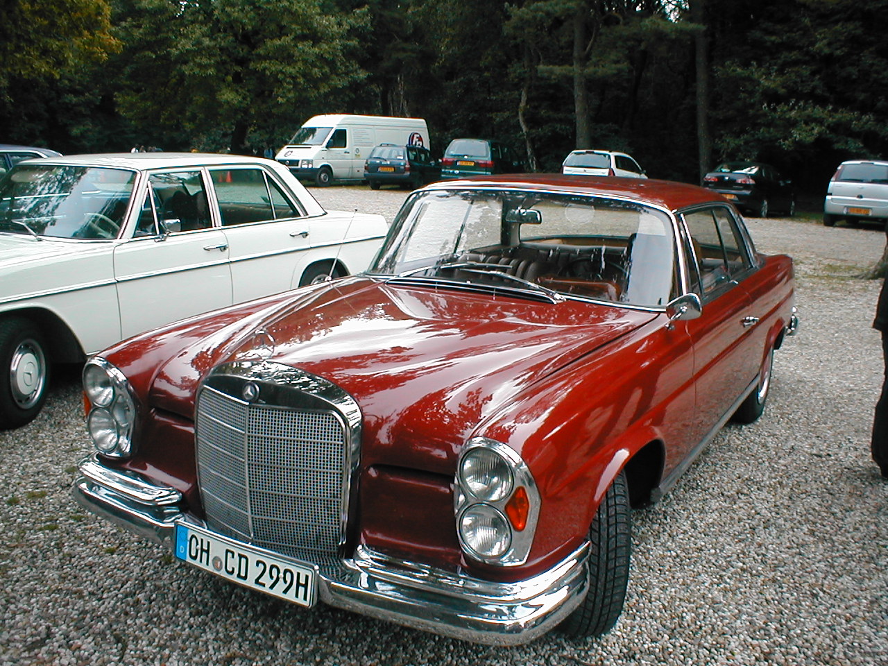 Image 11 of 58  -  442 kB