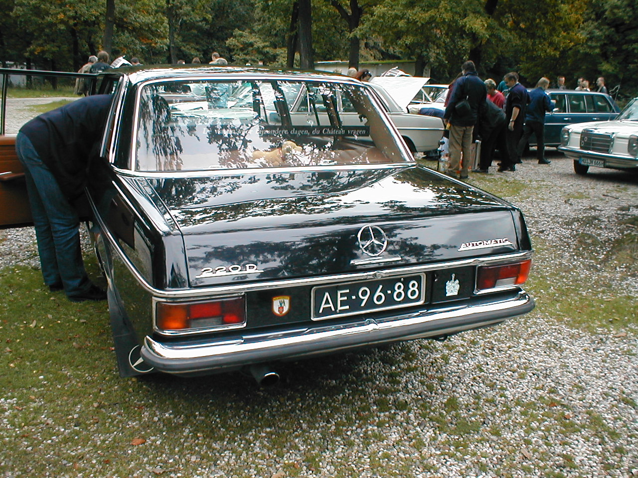 Image 36 of 58  -  457 kB