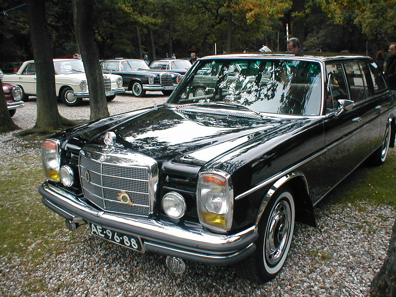 Image 37 of 58  -  451 kB