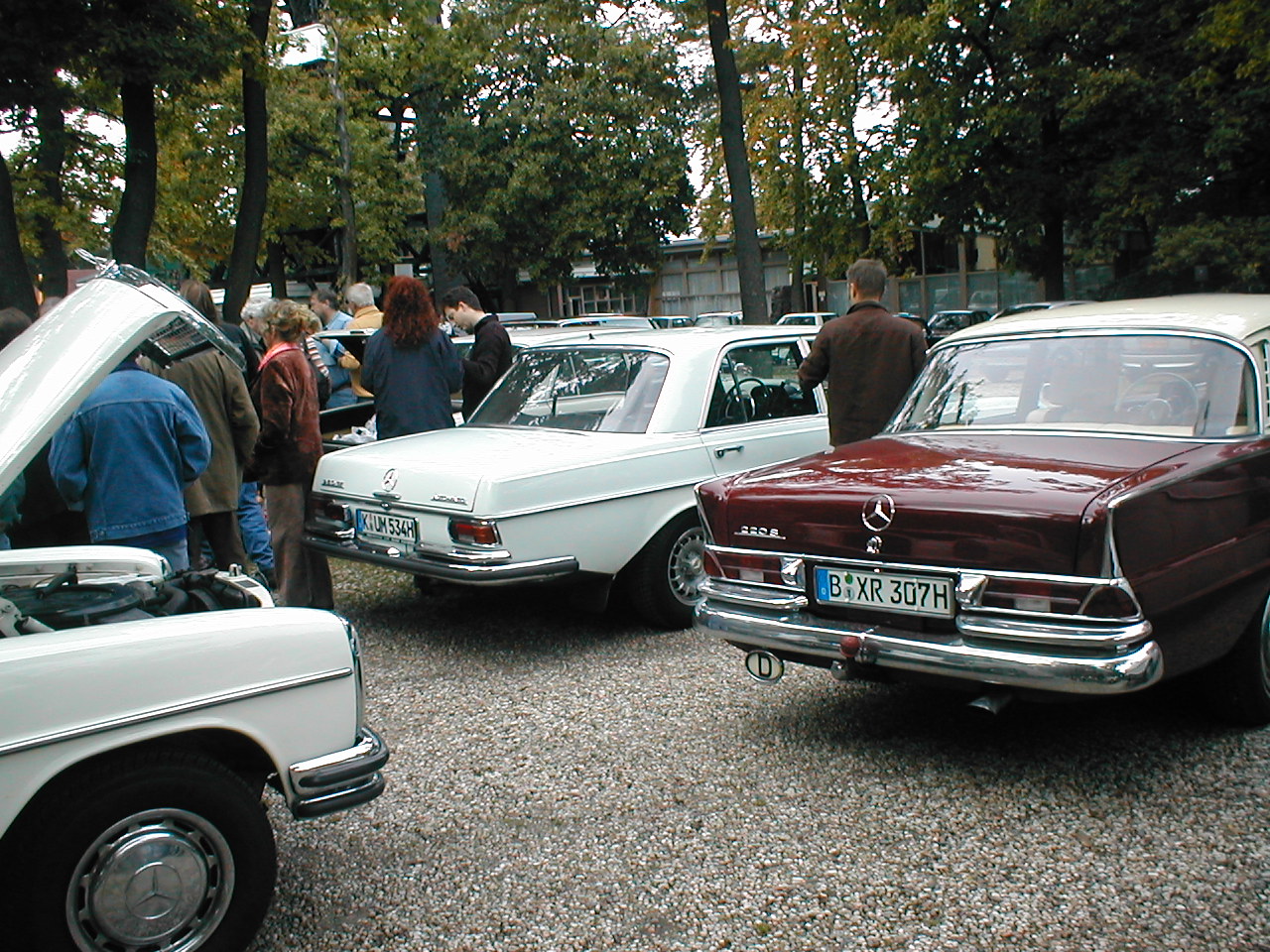 Image 54 of 58  -  445 kB